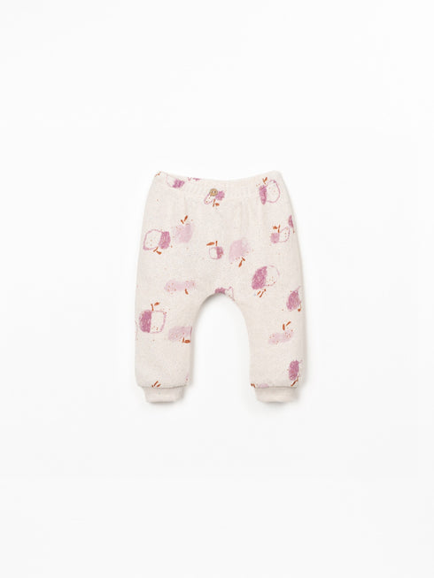 2PC APPLE SET