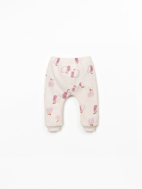 2PC APPLE SET