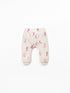 2PC APPLE SET