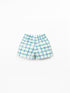 WINDOW PANE SHORT