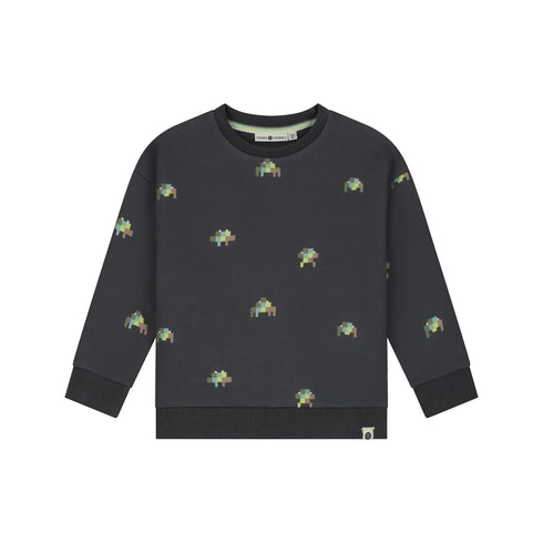 PRINT SWEATSHIRT