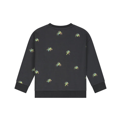 PRINT SWEATSHIRT