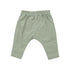 CORD JOGGER PANT