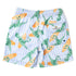 SWIM TRUNKS