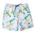 SWIM TRUNKS