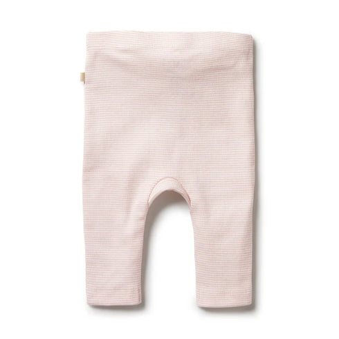 ORGANIC RIB LEGGING