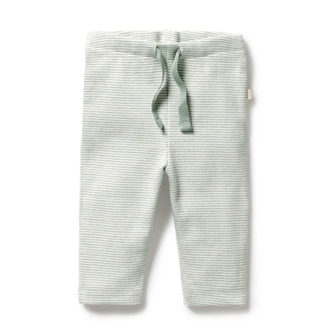 ORGANIC RIB LEGGING