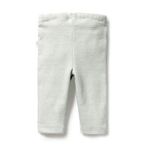 ORGANIC RIB LEGGING