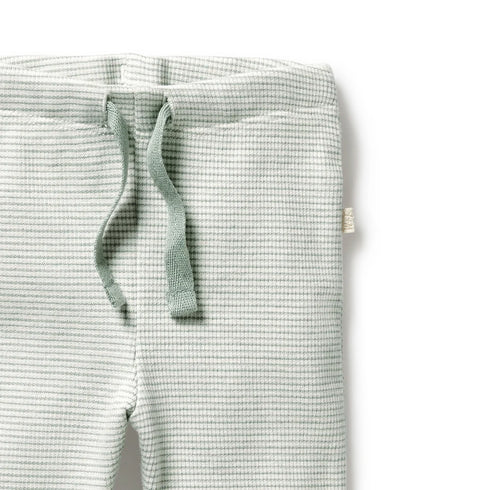 ORGANIC RIB LEGGING