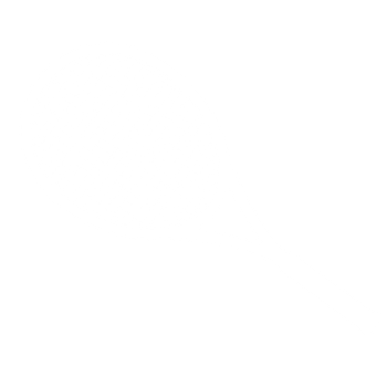 Tennis racket illustration