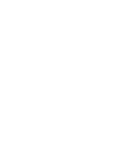 Birthday illustration